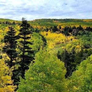 Meet your Posher, Bonnie